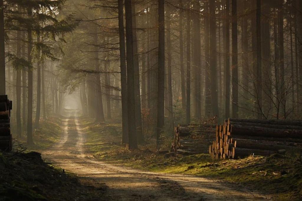 Reewold Veluwe Villa Putten Buitenkant foto