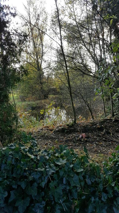 Reewold Veluwe Villa Putten Buitenkant foto