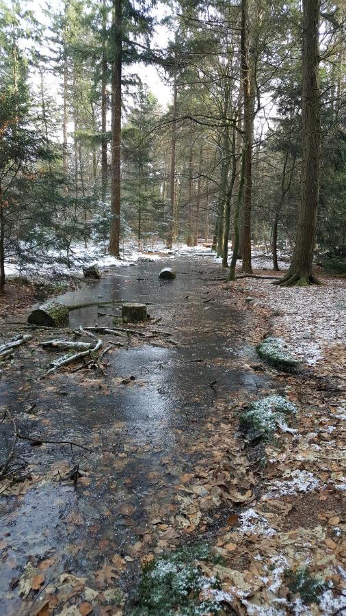Reewold Veluwe Villa Putten Buitenkant foto