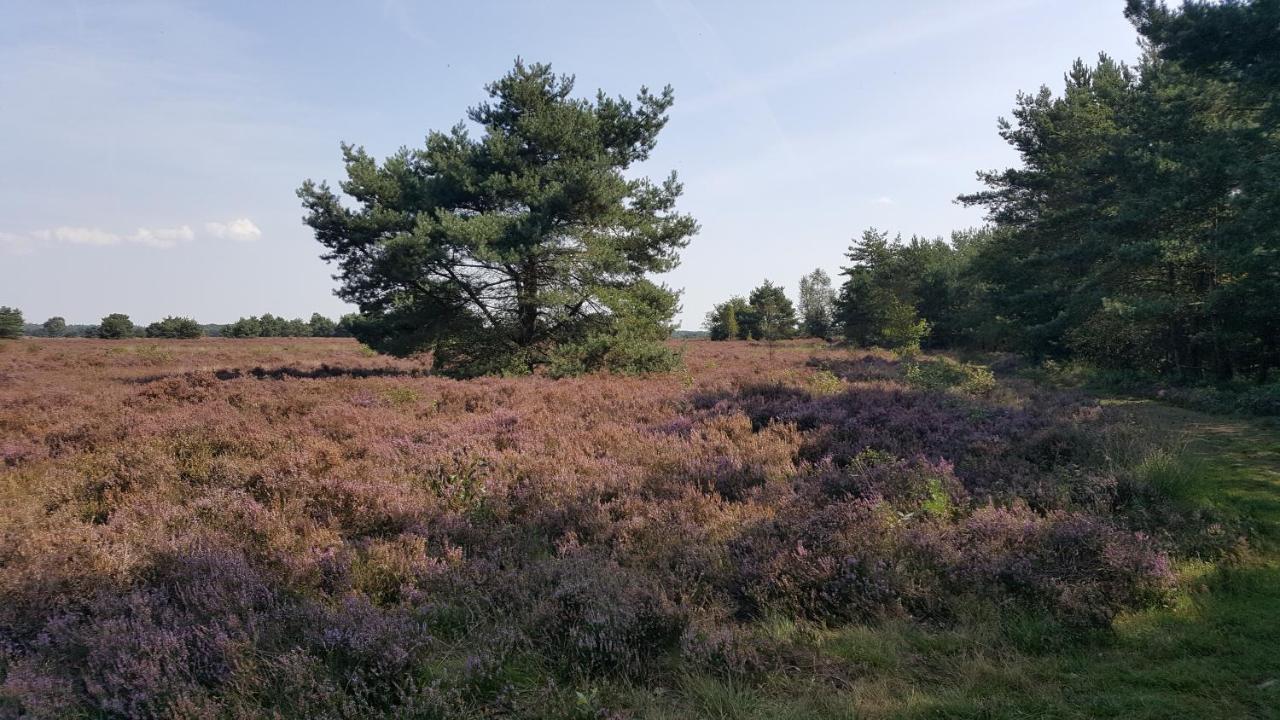 Reewold Veluwe Villa Putten Buitenkant foto