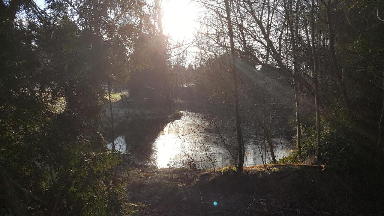 Reewold Veluwe Villa Putten Buitenkant foto