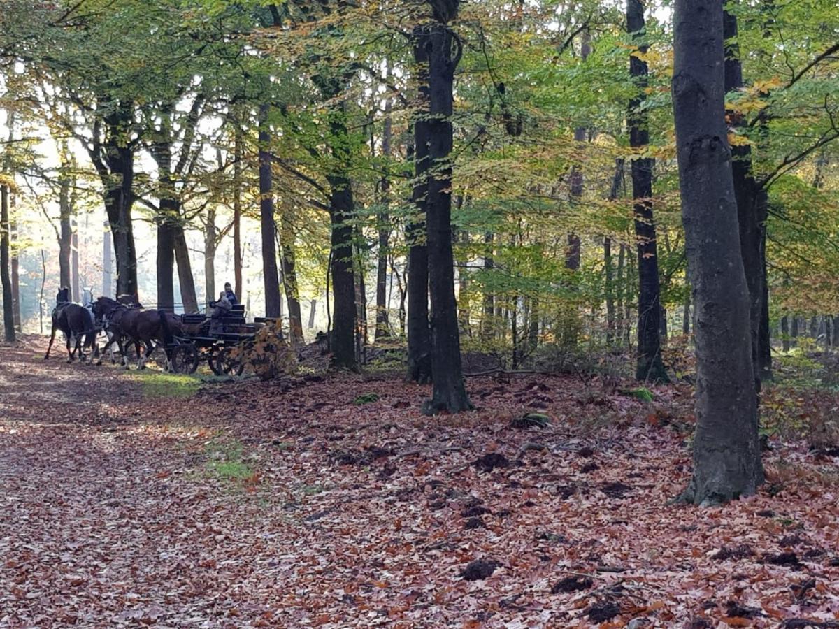 Reewold Veluwe Villa Putten Buitenkant foto