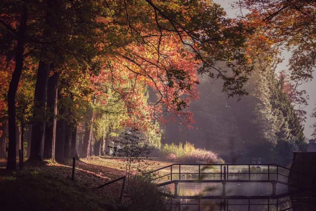 Reewold Veluwe Villa Putten Buitenkant foto