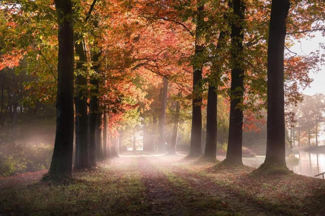 Reewold Veluwe Villa Putten Buitenkant foto
